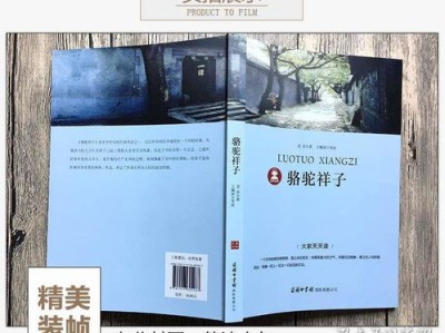 高中生适合的文学作品推荐