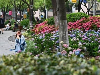 常州人民公园图书馆在哪里