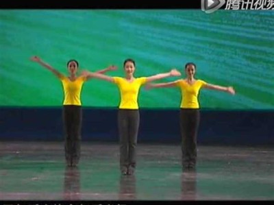 中国舞蹈家协会教育网旧版