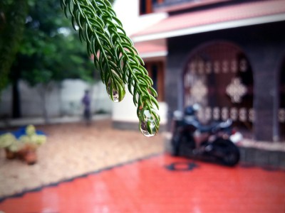 南方下雨北方下土，极端天气下的环境警钟