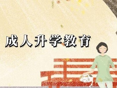 聊城大学学前教育专业分数线