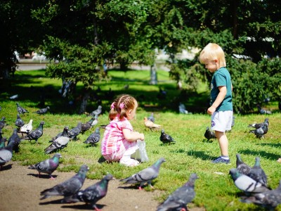 幼儿园与一年级，孩子成长的两个关键阶段