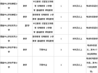 义务教育阶段特岗教师招聘官网