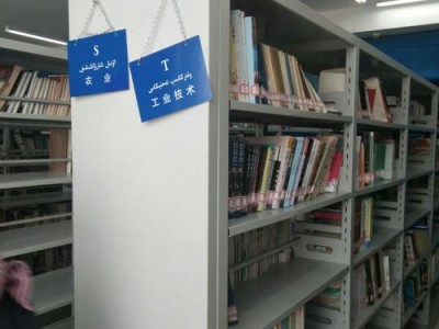 图书室使用情况500字
