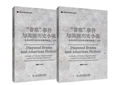 美国文学的道德探究
