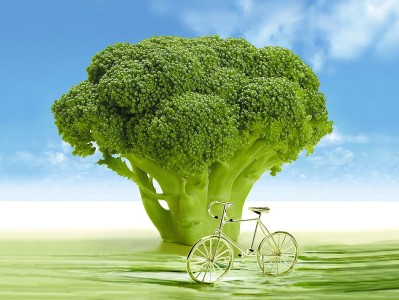 探索知识的海洋，百科常识知识大全视频播放的魅力