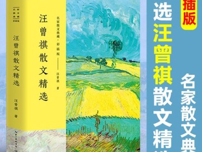 当代文学题材