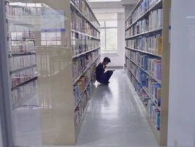 市图书馆免费开放情况