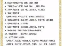 高考语文学霸笔记完整