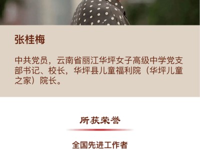 姓张的文学作品