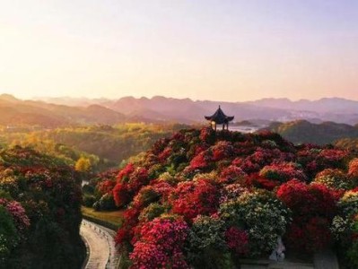 黔西中山赛文中学
