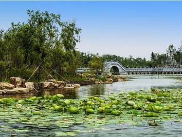 农村风景图片真实照片不好