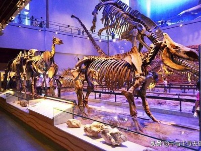 广州图书馆动物作品展