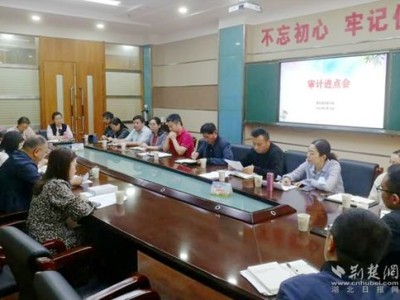 湖北审计厅汪文佳