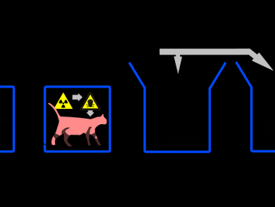 薛定谔的猫，量子力学的悖论与现实世界的启示