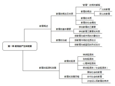 小学生教育理论心得体会