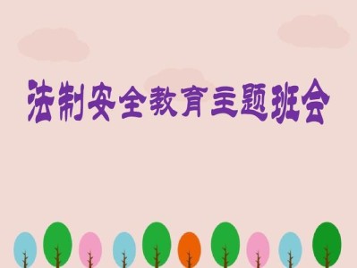 安全法制教育主题班会