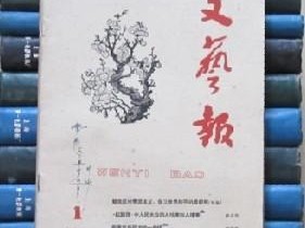 什么文学杂志比较好