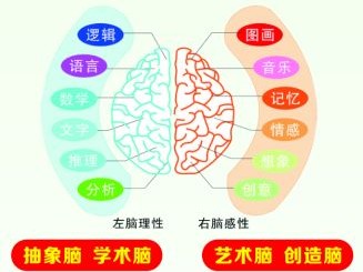 如何开发大脑的潜能让自己变聪明