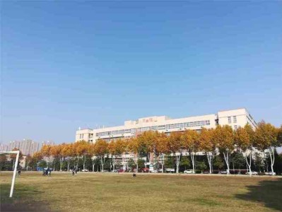 武昌首义学院图书馆概述