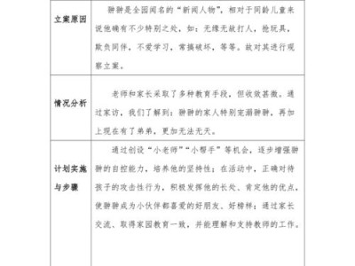 个案观察与分析