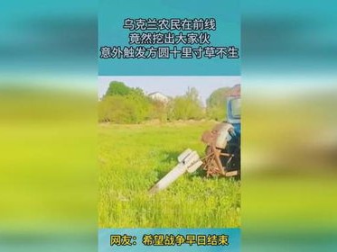 因成员国农民不满欧盟重启对乌克兰农产品征税