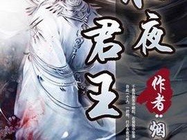永夜君王笔下文学