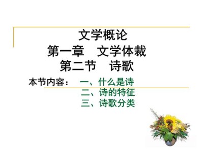 什么是诗歌文学概论题库