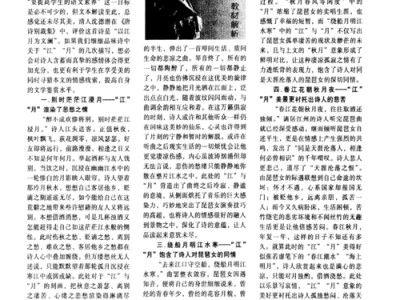 琵琶行文学短评范文600字