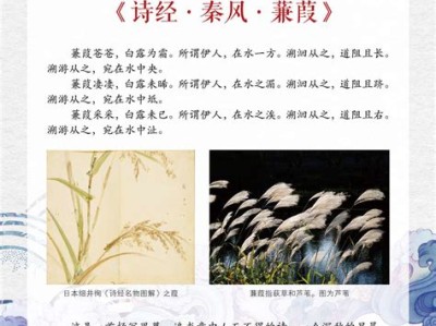 涟水图书馆开放时间