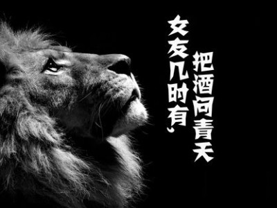 狮子的头发教案小班反思