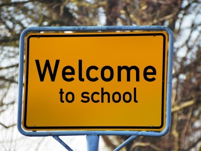 幼儿园生活常识知识大全，培养小小探索者的实用指南