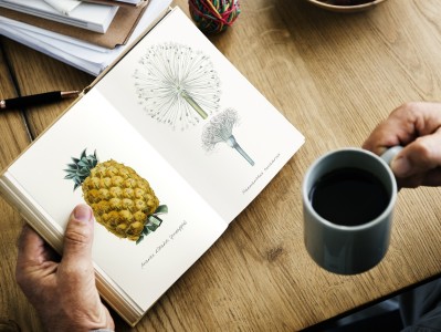探索知识的宝藏，百科常识在小学生作文中的应用