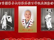 赵世君的艺术生涯