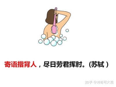 关联性的纽带人类社会的无形网络
