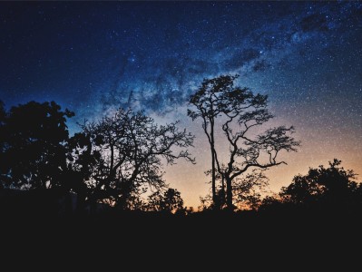 把大明星by你家的白月光，揭秘明星与粉丝之间不为人知的情感纽带