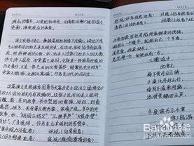 高中问题学生谈话记录