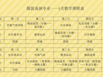 表演经历或舞台经历