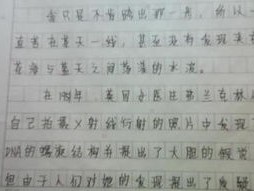 图书馆作文写景