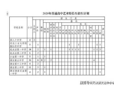 小学体育艺术活动计划