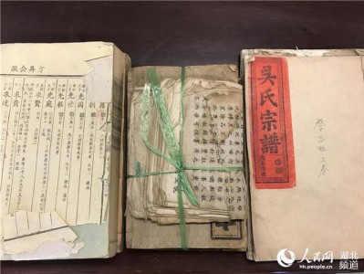 家谱图书馆姓氏图书推荐