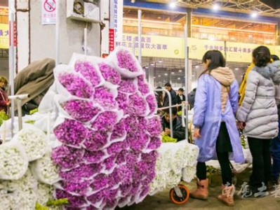 拉萨哪里有鲜花批发市场