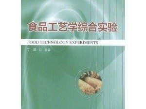 综合材料和实验艺术