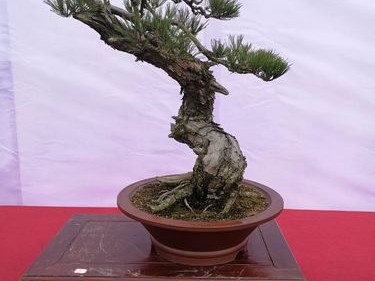 盐城市艺术中心大剧院