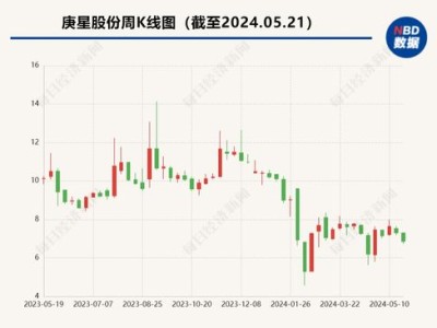 庚星股份大股东主导董事会换血二股东起诉上市公司要求撤销决议