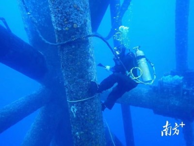 粮农组织：气候风险预计将影响全球海洋鱼类生物量