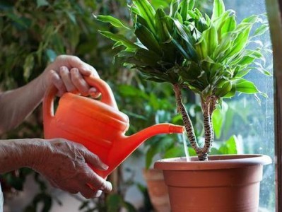 有关儿童溺水的资料