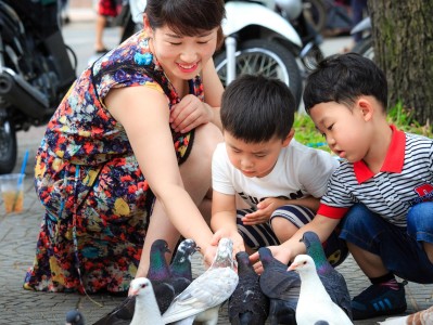 探索幼儿园常识教学，培养孩子们的基础认知与生活技能