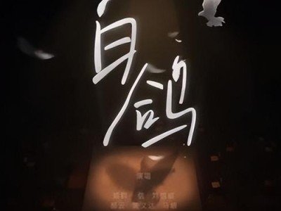 没有翅膀也要飞翔电视剧