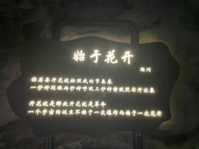 文学背后的哲学